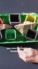 Comment réussir vos semis de tomates ?