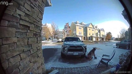 Girl Walking to Truck Slips on Ice and Falls on Her Butt