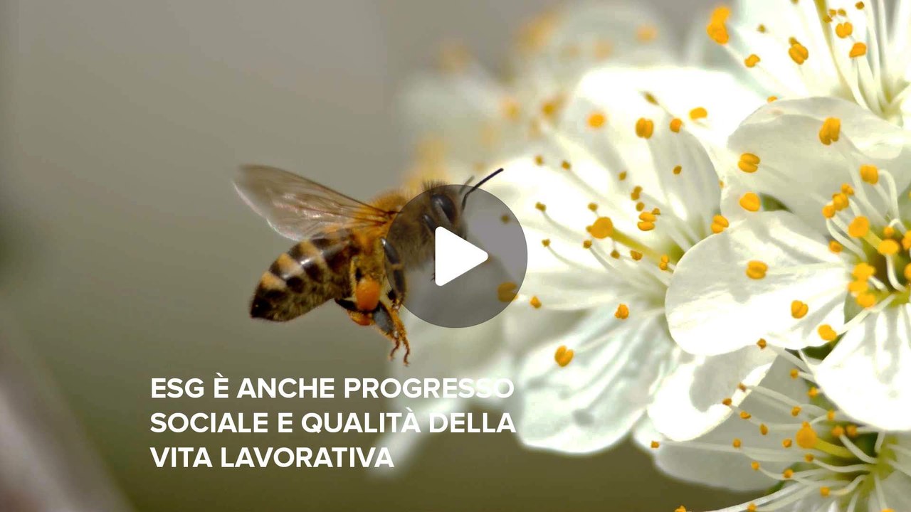 Fineconomy - 16 - ESG è anche progresso sociale e qualità della vita lavorativa - FHD