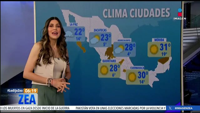 Llegaron menos mariposas monarca a los bosques de México