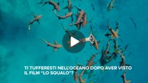 Fineconomy - Ti tufferesti nell’oceano dopo aver visto il film “Lo squalo”?
