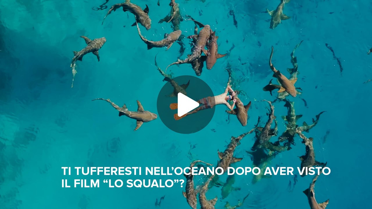 Fineconomy - Ti tufferesti nell’oceano dopo aver visto il film “Lo squalo”?