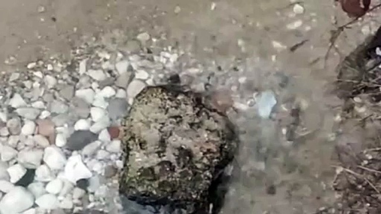 Water as the Source of Life