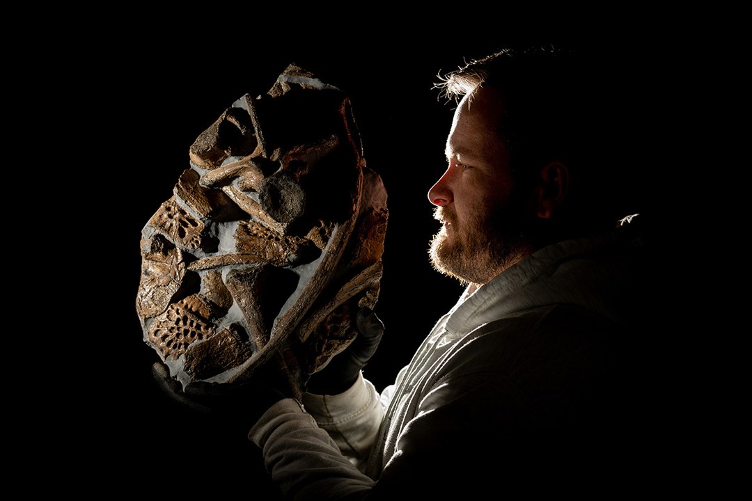 Mark Kemp: The Yorkshire Fossil Hunter discovers rare Crocodile Fossil in Whitby