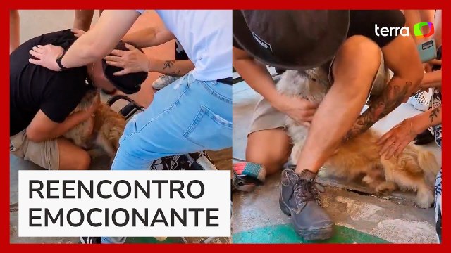 Jovem se emociona ao reencontrar cão que havia sumido em incêndios florestais no Chile