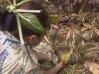 Des Gambier aux Australes