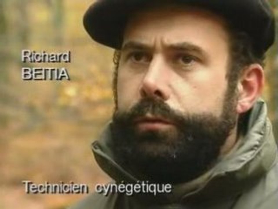 Palombes par milliers au Pays Basque - 2