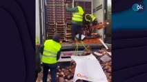Agricultores tiran cientos de tomates marroquíes de un camión en Jerez de la Frontera