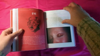 Page Turning ASMR | "Nicole Angemi's Anatomy Book" | No Talking *CENSORED*