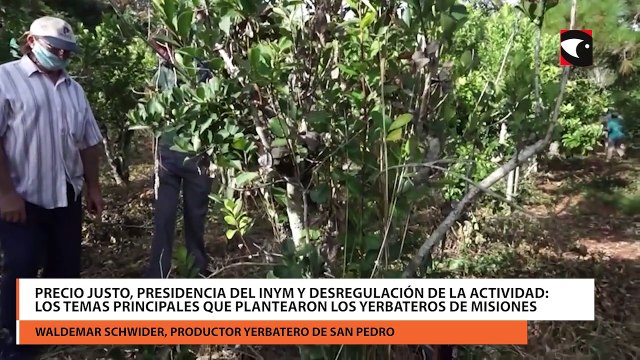Productores yerbateros de Misiones plantearon sus preocupaciones al secretario de Nación Juan Pazo