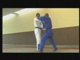 Fighting : methode pedagogique de Ju-Jitsu Fighting