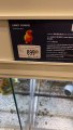 Woman Shocked at Parrot's Price Tag