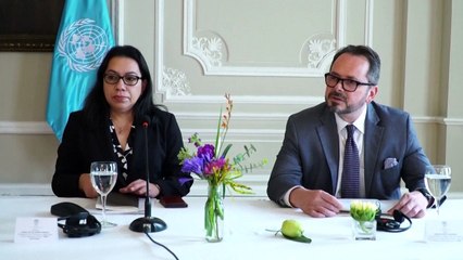 Consejo de Seguridad de ONU respalda treguas con guerrillas en Colombia