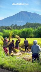 Suasana Langit Cerah Dari Desa Yangapi, Tembuku, Bangli