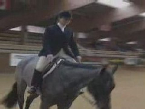 Galops 7 : Preparation aux examens de la FFE