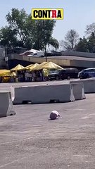 ¡Fans de Karol G se enfrentan por un boleto en una pelea viral! 🎟️