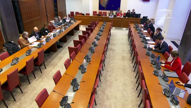 Commission des affaires culturelles : États généraux de l’information - Jeudi 8 février 2024