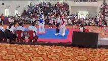 This is how Taekwondo self defense test looks like