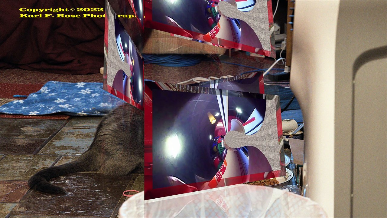 filling out JAB form bk lunch 360 9 faces 1 3D ymm