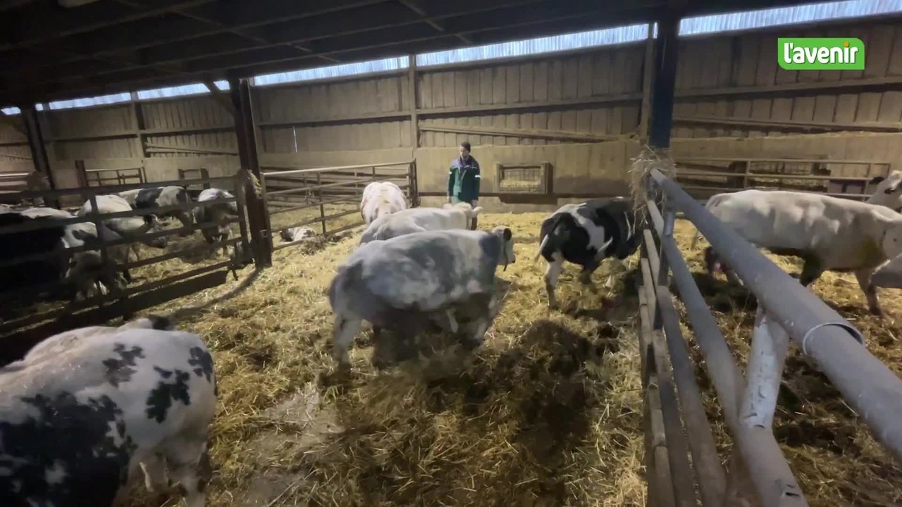La Fédération des Jeunes Agriculteurs, moteur de la colère agricole