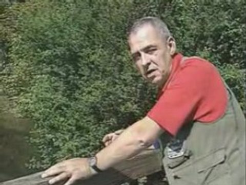 Grosses truites d'ete