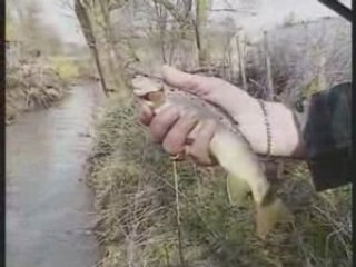 Grosses Truites de Printemps