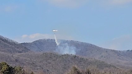 경기 용인 쌍용산에서 불...인명피해 없어 / YTN