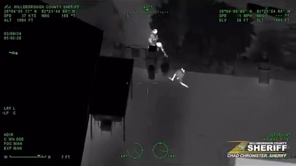 Lost Kangaroo Rescued and Reunited with Owner in Tampa 🦘