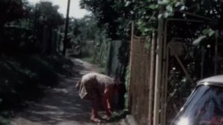 Roué Francis-Villeneuve-Michel dans les arbres