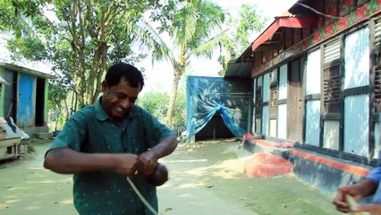 চর বলাকি গ্রামে ২০০ বছরের পুরোনো লাটিম