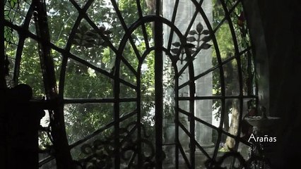 Trailer de 'La Casa' de Paola Michaels 🎬