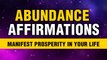 Abundance Affirmations While you Sleep | Wealth Affirmations | Manifest Prosperity in your Life