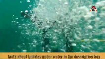 under water bubbles-sound effect_bubbles sounds