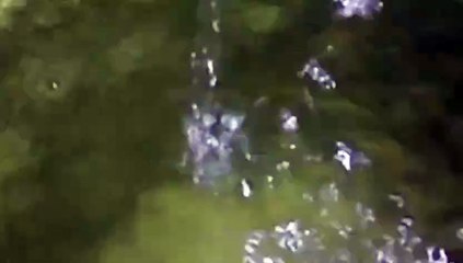 Water as the Source of Life