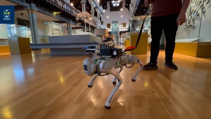 Robot dog powered by AI developed to guide visually impaired people