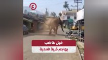 فيل غاضب يهاجم قرية هندية