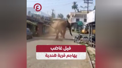 فيل غاضب يهاجم قرية هندية