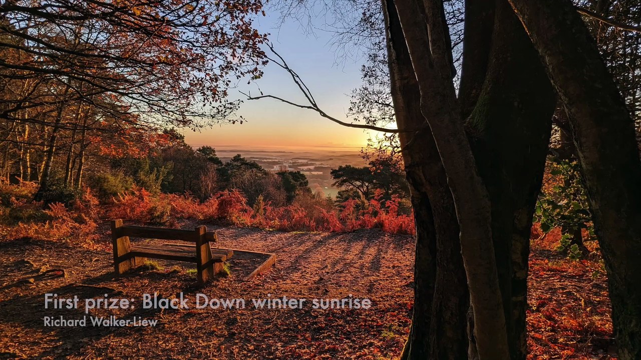 Winners of Black Down and Hindhead National Trust photo contest 2023 announced