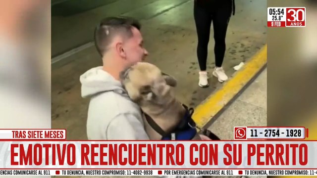Emotivo reencuentro entre un perro y su dueño tras siete meses sin verse