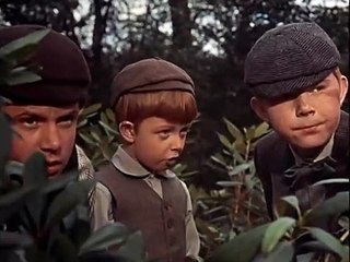 Les Trois Vies de Thomasina Bande-annonce (EN)