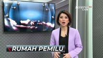Eksklusif! Megawati Blak-Blakan Soal Alasan Tak Tarik Menteri PDIP dari Kabinet Jokowi