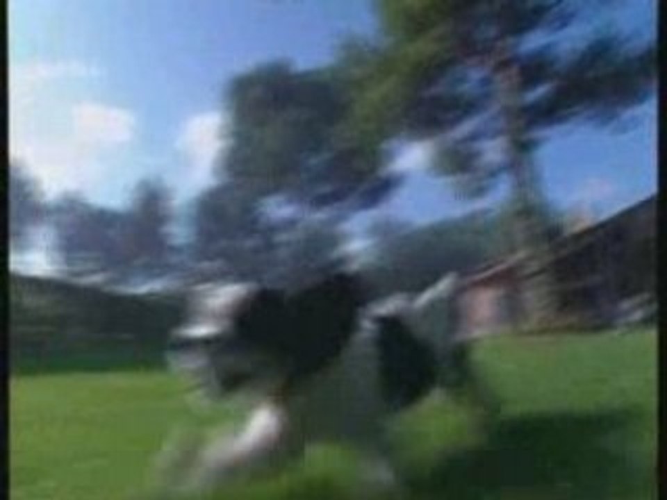 Je Soigne Mon Chien