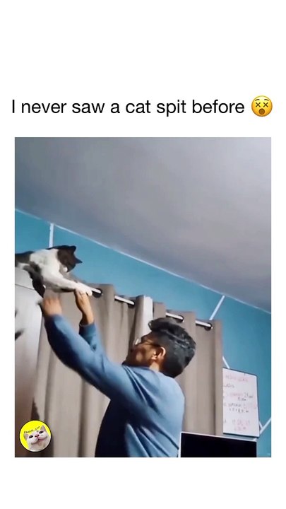 Viral Video Sensation : The Most Hilarious Videos Ever!
