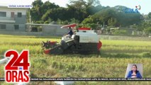 Ilang magsasaka, maagang nag-ani ng mga pananim; titigil din muna sa pagtatanim ng palay dahil hirap sa patubig | 24 Oras