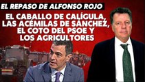 Alfonso Rojo: “El caballo de Calígula, las acémilas de Sánchez, el coto del PSOE y los agricultores”