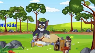 tom and jerry singapore full episodes  cartoon network asia nv kids