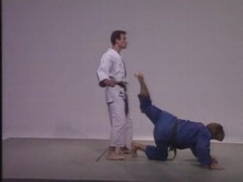 Ju-Jitsu : Combat au sol