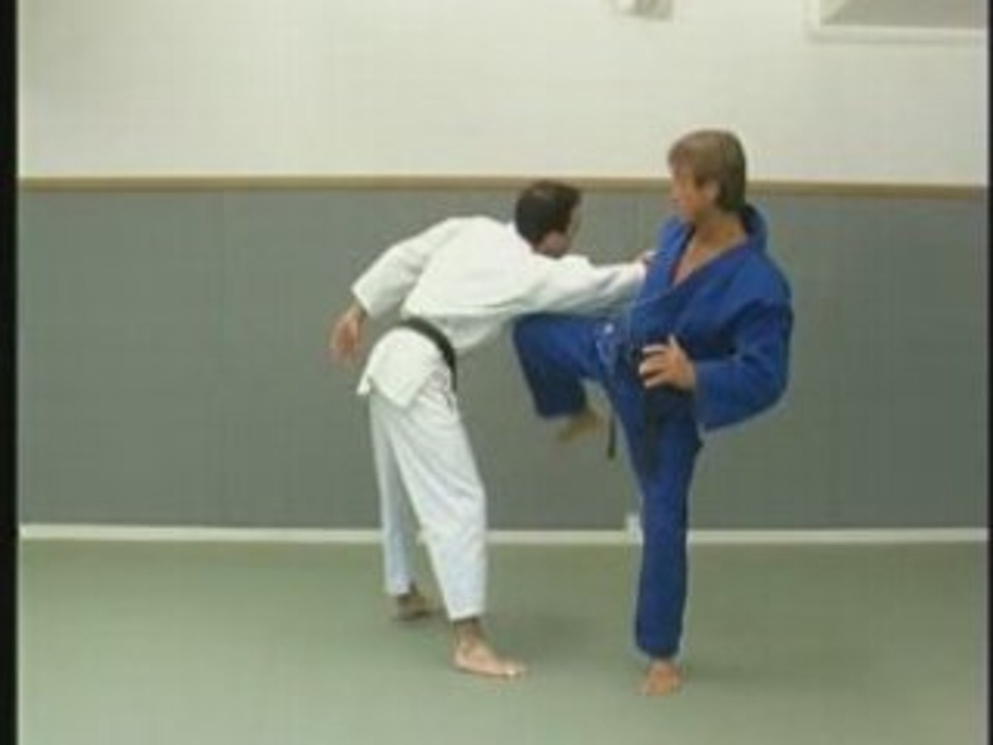 Ju-Jitsu : progression par ceinture - Vidéo Dailymotion