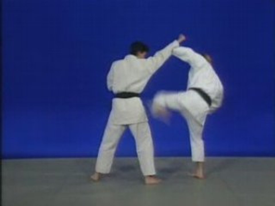 Ju-Jitsu : techniques de bases