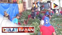 Mga flower farmers sa La Trinidad, Benguet, tiniyak na sapat ang supply ng mga bulaklak ngayong nalalapit na Valentine's Day